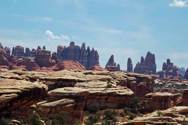 Needles district